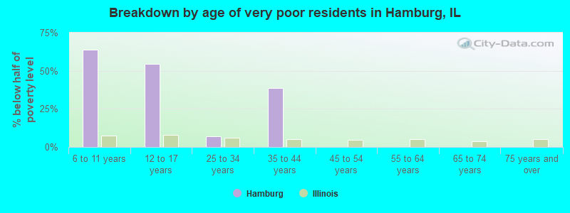 Breakdown by age of very poor residents in Hamburg, IL