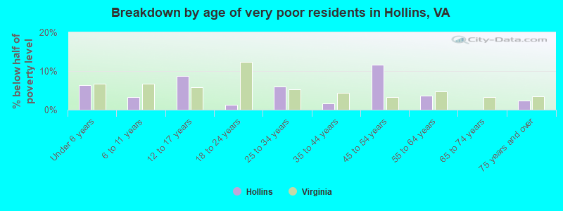 Breakdown by age of very poor residents in Hollins, VA