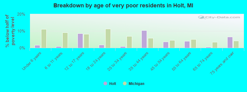 Breakdown by age of very poor residents in Holt, MI