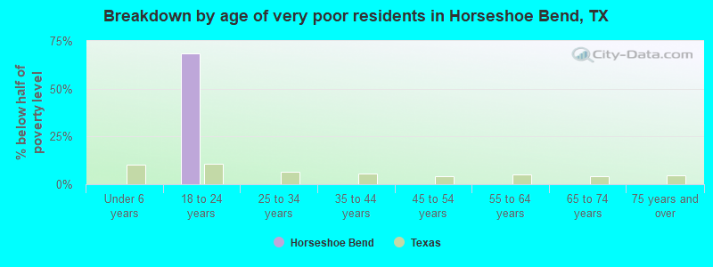 Breakdown by age of very poor residents in Horseshoe Bend, TX