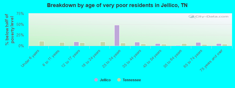 Breakdown by age of very poor residents in Jellico, TN