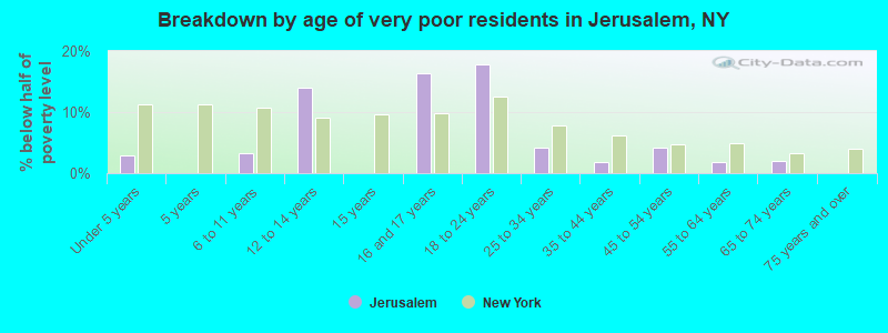 Breakdown by age of very poor residents in Jerusalem, NY