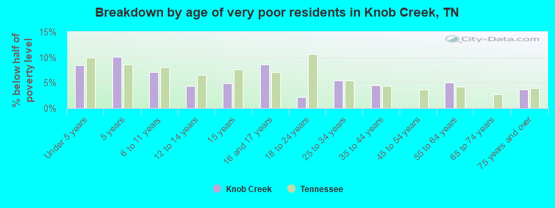 Breakdown by age of very poor residents in Knob Creek, TN