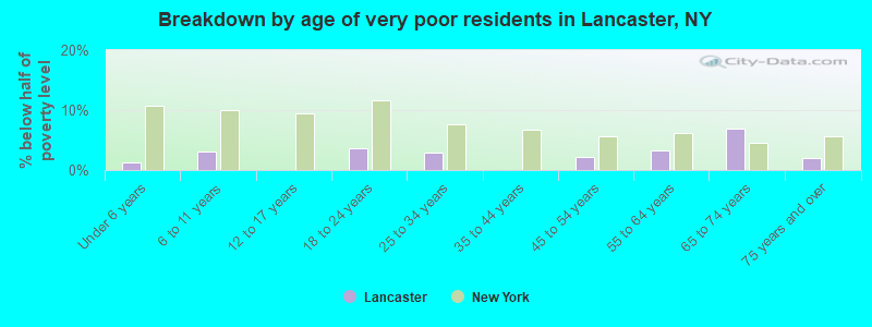 Breakdown by age of very poor residents in Lancaster, NY