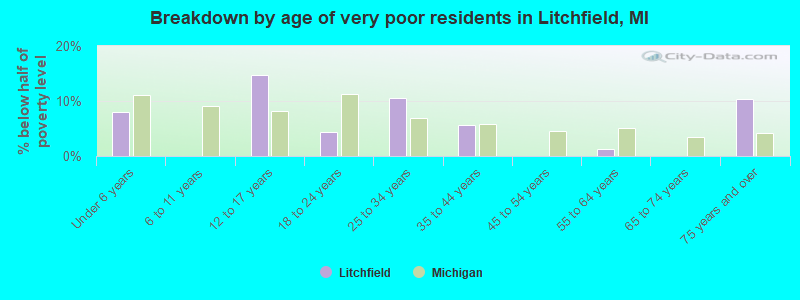 Breakdown by age of very poor residents in Litchfield, MI