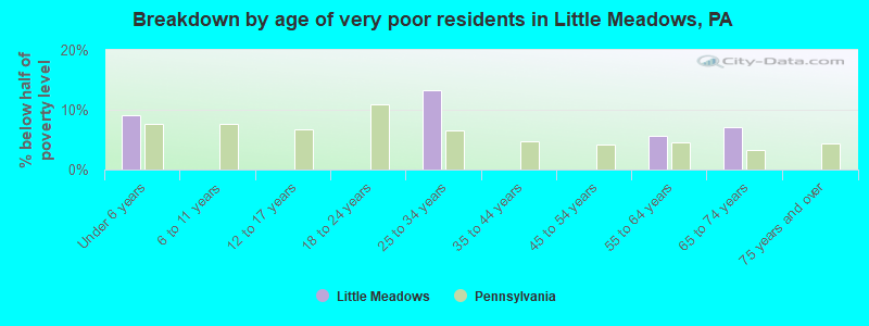 Breakdown by age of very poor residents in Little Meadows, PA