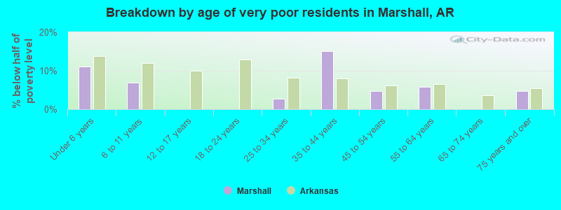 Breakdown by age of very poor residents in Marshall, AR