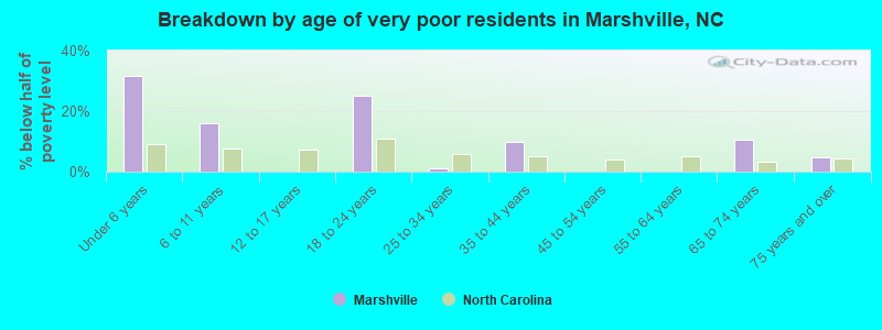 Breakdown by age of very poor residents in Marshville, NC