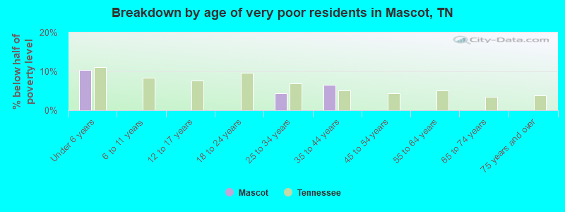 Breakdown by age of very poor residents in Mascot, TN