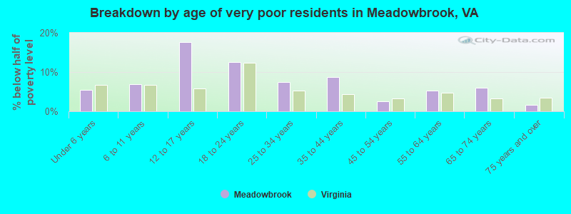 Breakdown by age of very poor residents in Meadowbrook, VA