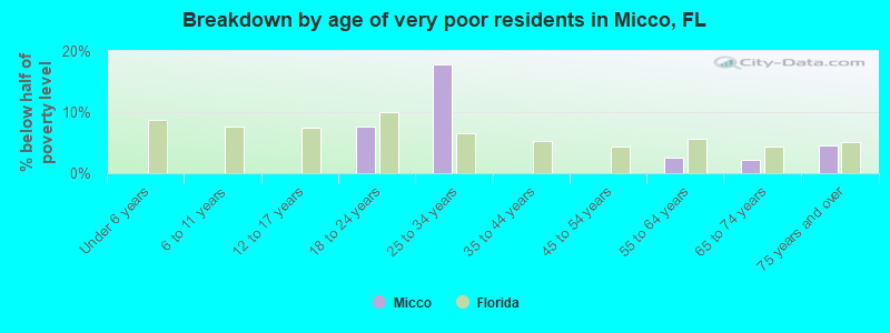 Breakdown by age of very poor residents in Micco, FL