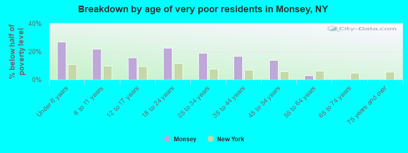 Breakdown by age of very poor residents in Monsey, NY