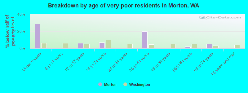 Breakdown by age of very poor residents in Morton, WA
