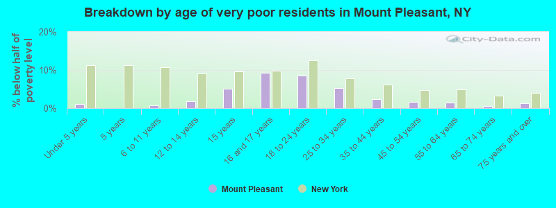 Breakdown by age of very poor residents in Mount Pleasant, NY