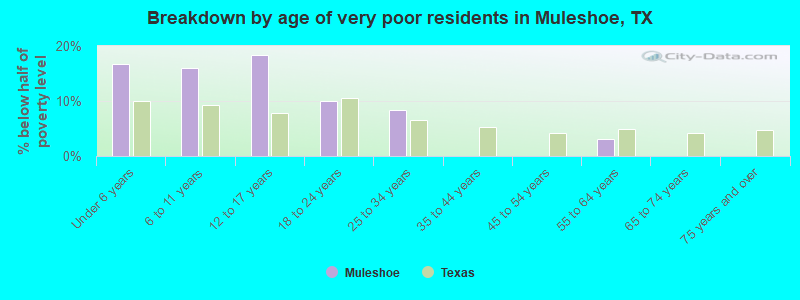 Breakdown by age of very poor residents in Muleshoe, TX