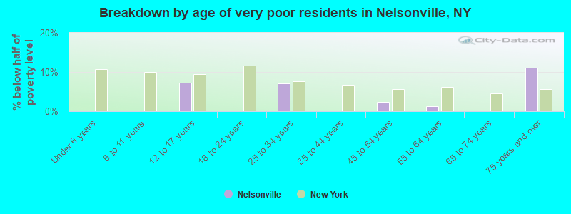 Breakdown by age of very poor residents in Nelsonville, NY