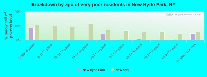 Breakdown by age of very poor residents in New Hyde Park, NY