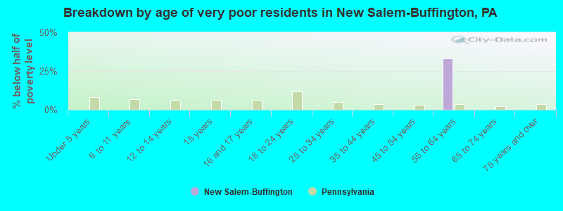 Breakdown by age of very poor residents in New Salem-Buffington, PA