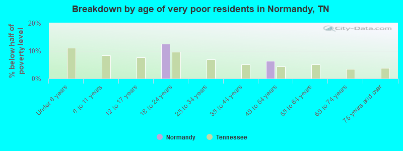 Breakdown by age of very poor residents in Normandy, TN