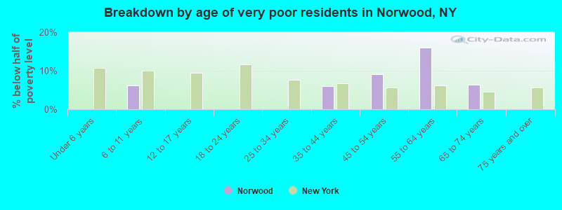 Breakdown by age of very poor residents in Norwood, NY