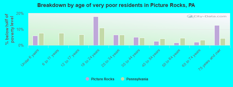 Breakdown by age of very poor residents in Picture Rocks, PA