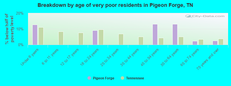 Breakdown by age of very poor residents in Pigeon Forge, TN