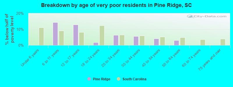 Breakdown by age of very poor residents in Pine Ridge, SC