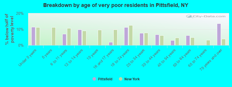 Breakdown by age of very poor residents in Pittsfield, NY