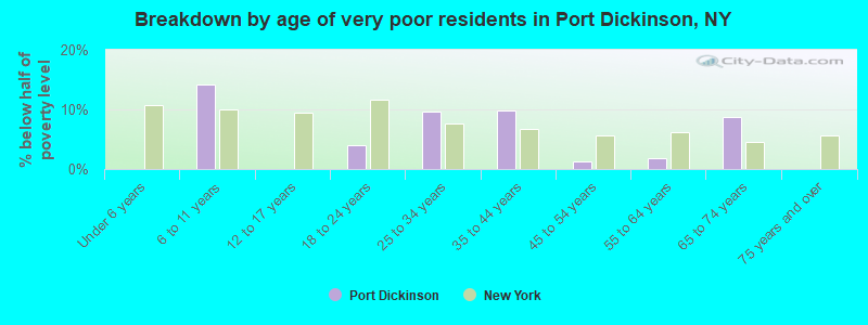 Breakdown by age of very poor residents in Port Dickinson, NY