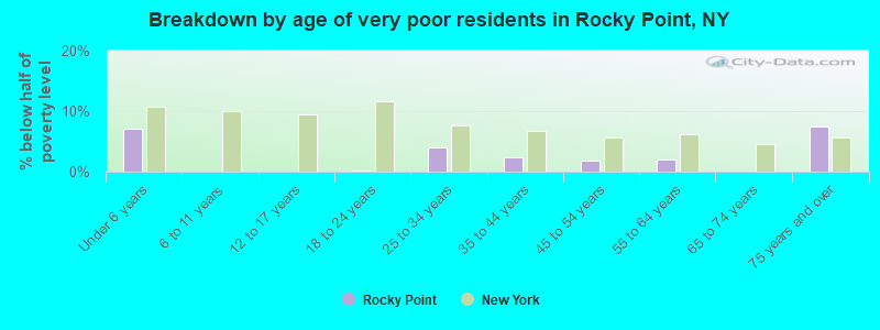 Breakdown by age of very poor residents in Rocky Point, NY