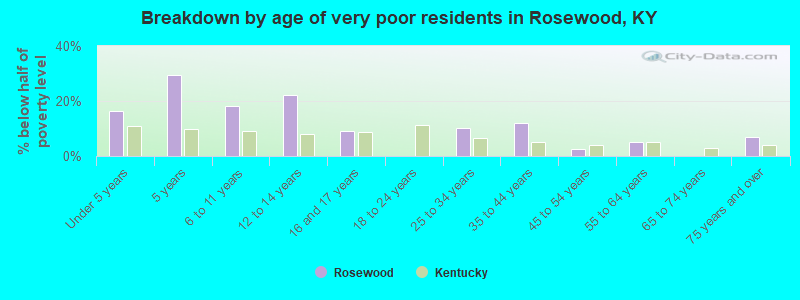 Breakdown by age of very poor residents in Rosewood, KY