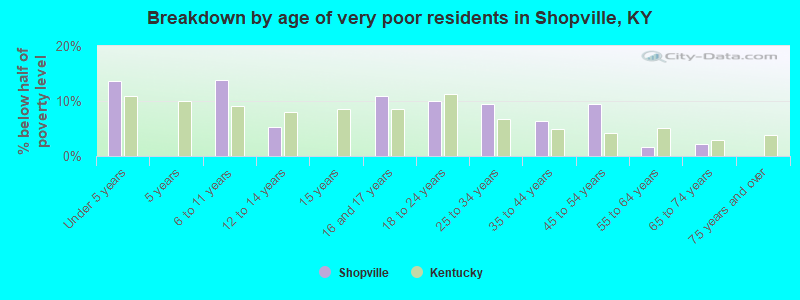 Breakdown by age of very poor residents in Shopville, KY