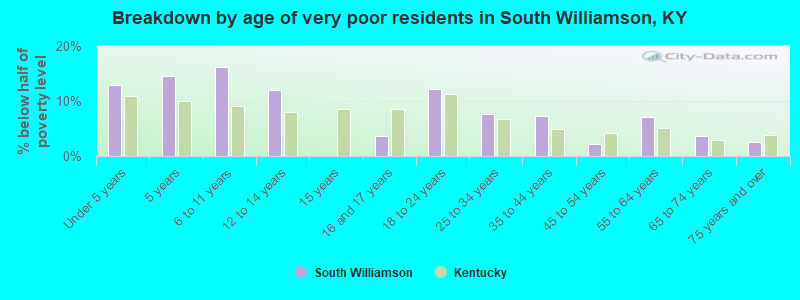 Breakdown by age of very poor residents in South Williamson, KY