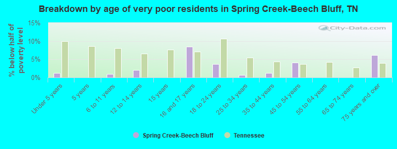 Breakdown by age of very poor residents in Spring Creek-Beech Bluff, TN