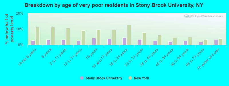 Breakdown by age of very poor residents in Stony Brook University, NY