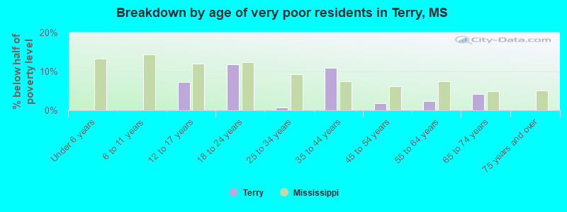 Breakdown by age of very poor residents in Terry, MS