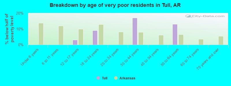 Breakdown by age of very poor residents in Tull, AR