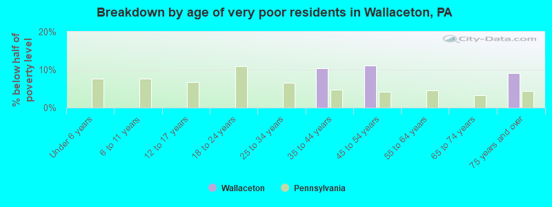Breakdown by age of very poor residents in Wallaceton, PA