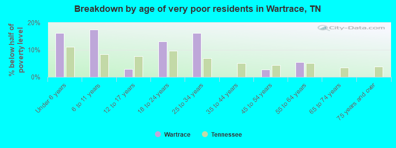 Breakdown by age of very poor residents in Wartrace, TN