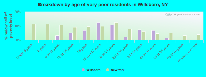 Breakdown by age of very poor residents in Willsboro, NY