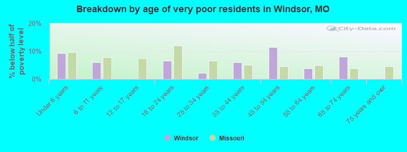 Breakdown by age of very poor residents in Windsor, MO