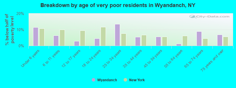Breakdown by age of very poor residents in Wyandanch, NY