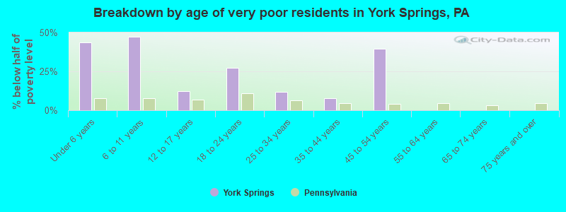 Breakdown by age of very poor residents in York Springs, PA