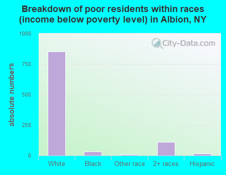 Breakdown of poor residents within races (income below poverty level) in Albion, NY