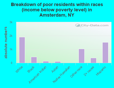 Breakdown of poor residents within races (income below poverty level) in Amsterdam, NY
