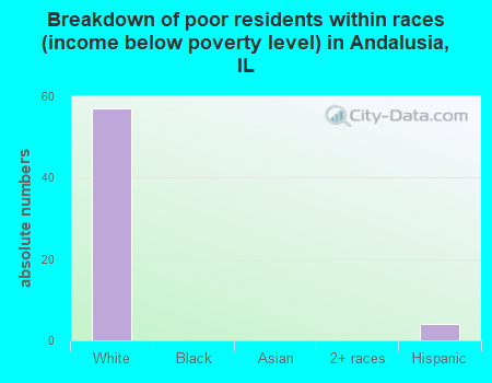 Breakdown of poor residents within races (income below poverty level) in Andalusia, IL