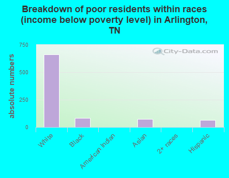 Breakdown of poor residents within races (income below poverty level) in Arlington, TN