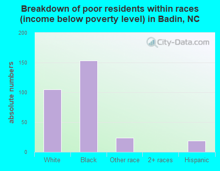 Breakdown of poor residents within races (income below poverty level) in Badin, NC