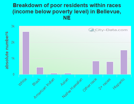 Breakdown of poor residents within races (income below poverty level) in Bellevue, NE