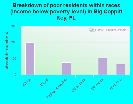 Breakdown of poor residents within races (income below poverty level) in Big Coppitt Key, FL